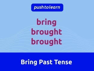 Illustration of Bring Past Tense