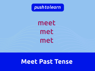 Illustration of Meet Past Tense