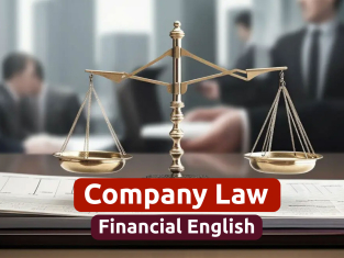 Illustration of Company Law