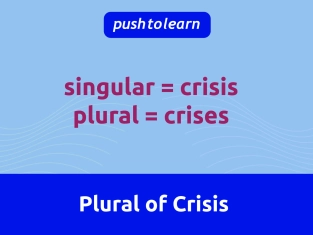 Illustration of Plural of Crisis