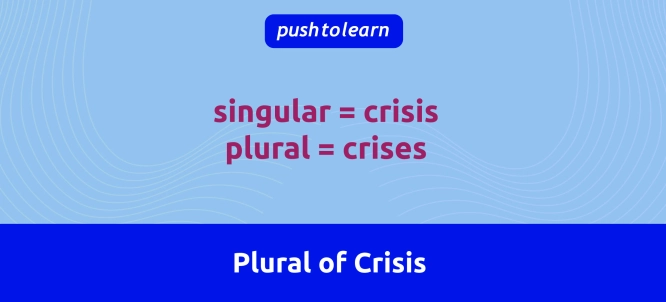 Illustration of Plural of Crisis