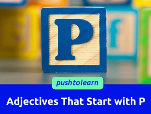 Illustration of Adjectives That Start with P