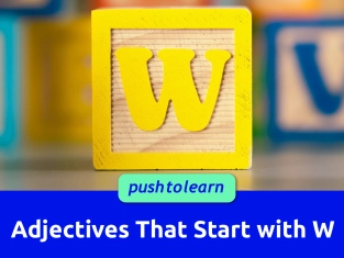 Illustration of Adjectives That Start with W