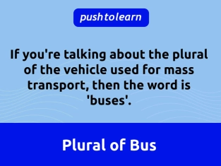 Illustration of Plural of Bus