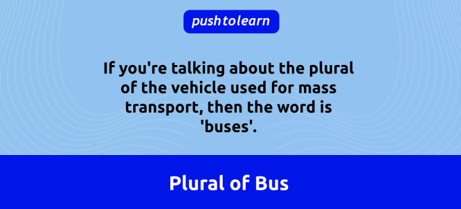 Illustration of Plural of Bus