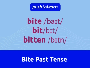 Illustration of Bite Past Tense