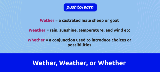 Illustration of Wether, Weather, or Whether