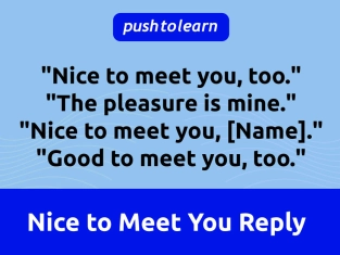 Illustration of Nice to Meet You Reply