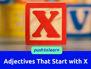 Illustration of Adjectives That Start with X