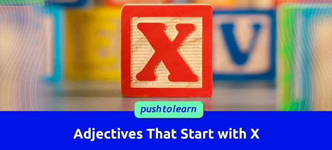 Illustration of Adjectives That Start with X