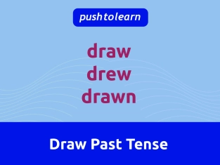 Illustration of Draw Past Tense