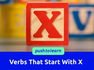 Illustration of Verbs That Start With X