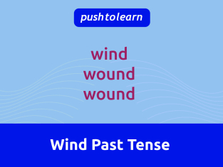 Illustration of Wind Past Tense